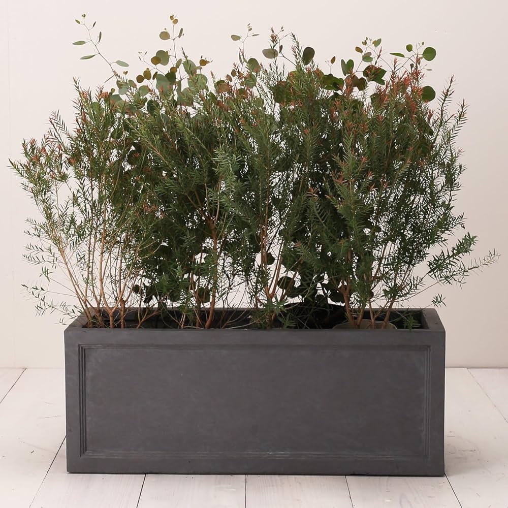 プランター　長角　花鉢　ガーデン　ファイバー Amazon | 植木鉢 大型 ファイバークレイプロ ノーマン 長角